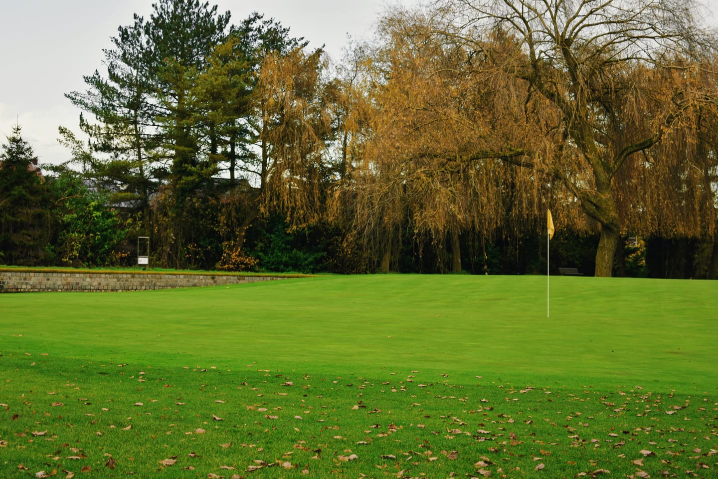 Low-pile sand-filled artificial putting green in a backyard