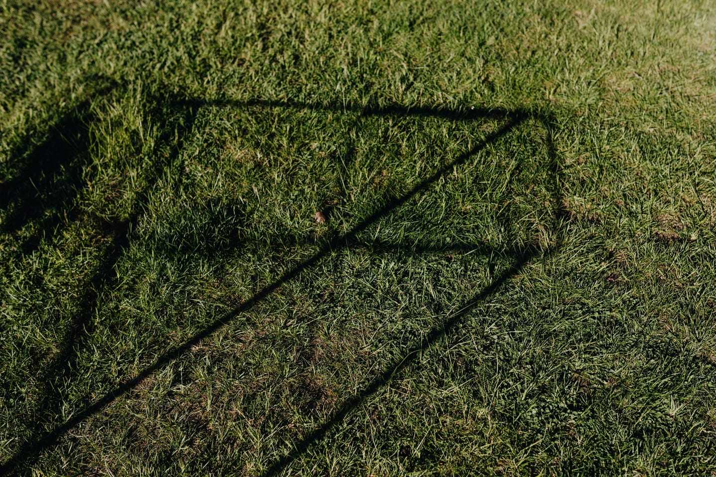 Artificial turf in a full-sun desert backyard at midday