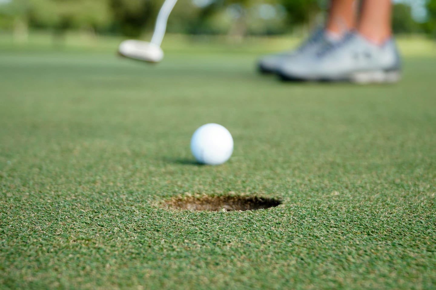 Backyard artificial putting green with a flag and cup