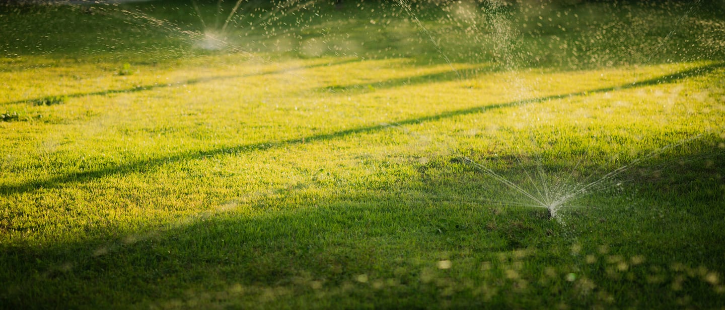 Desert lawn beside a Lake Havasu City water bill — the real cost of natural grass